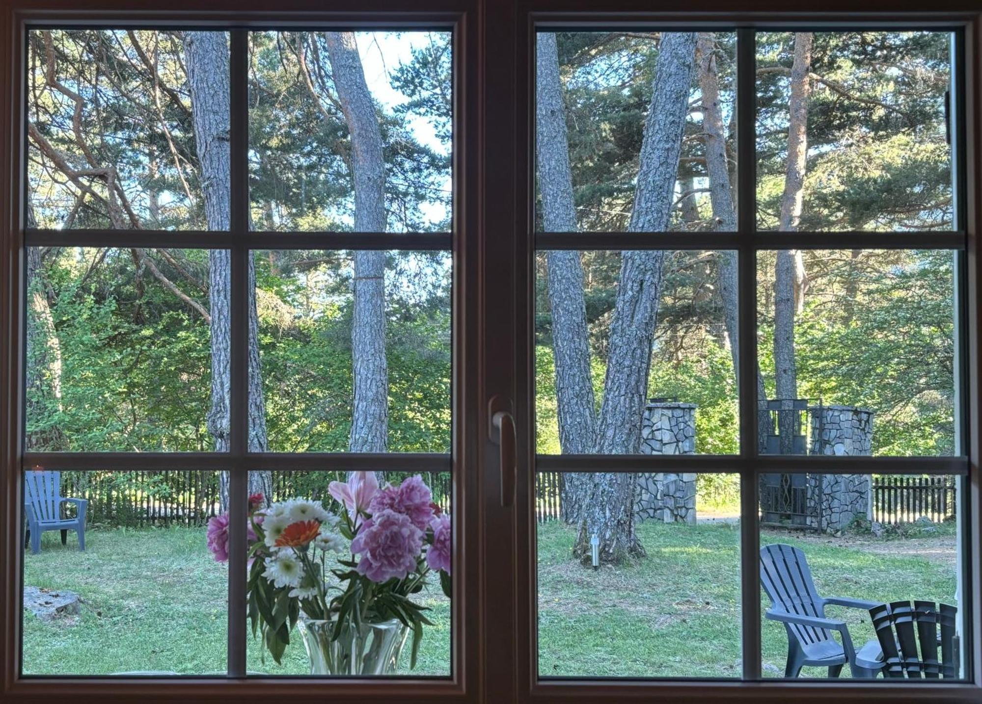 Large Riverside Chalet Near Gorges Du Verdon La Bastide  エクステリア 写真